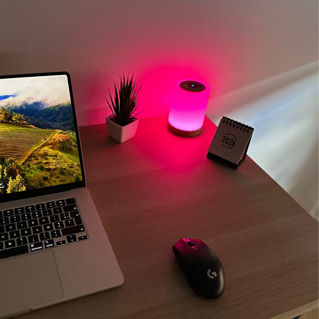 Desk Lamp